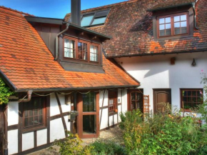 Ferienhaus-Schwarzwald-Imbirkenweg-bei-Strassburg-Europapark-fuer-1-12-Personen